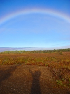 ハワイの虹.JPG